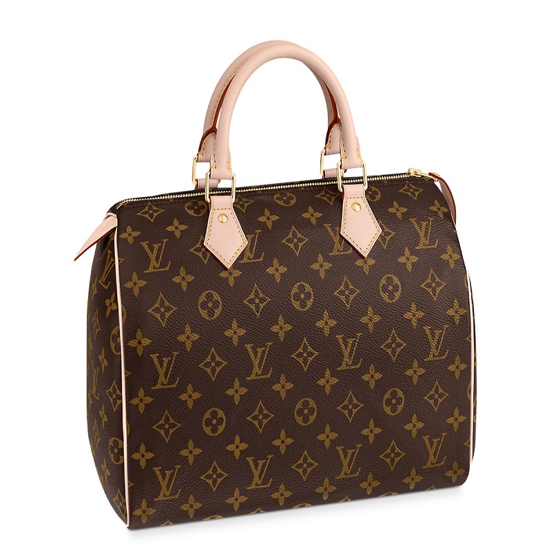 handbag louis vuitton